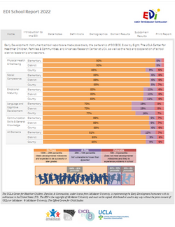 EDI School Reports (2025)